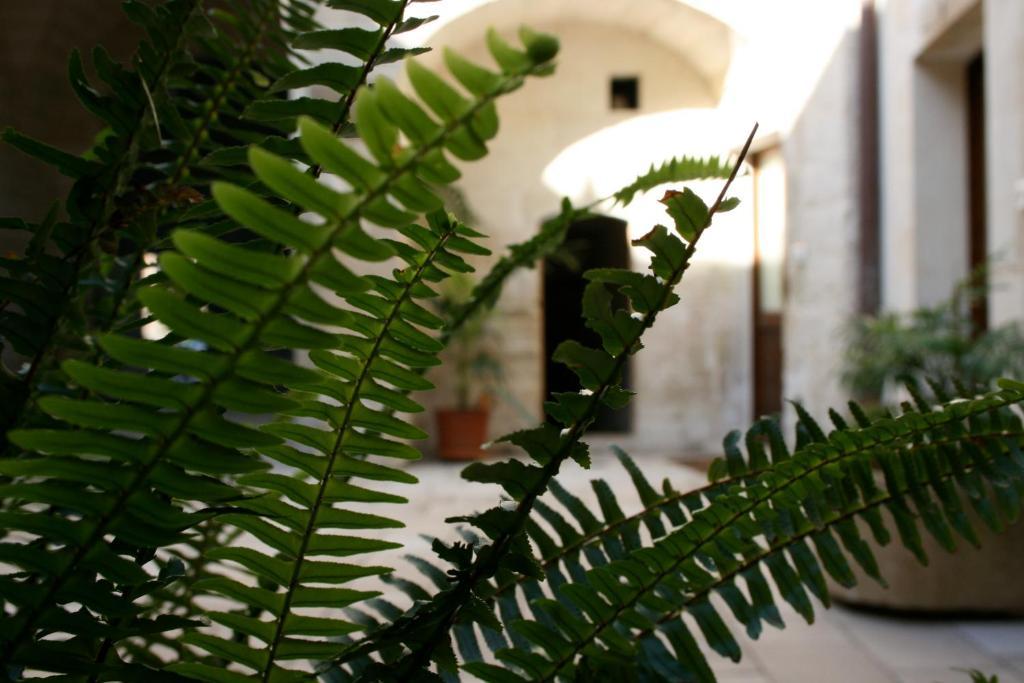 Dimora Storica "Casa Sicuro" Panzió Martano Kültér fotó